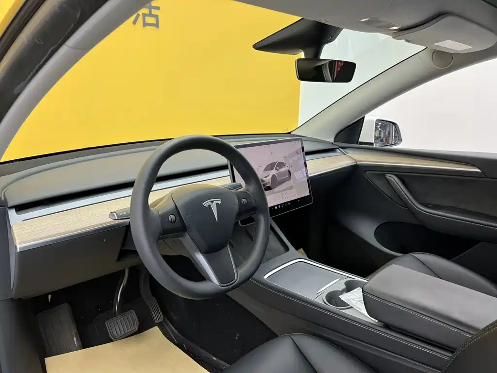 Tesla Model Y — фото 30