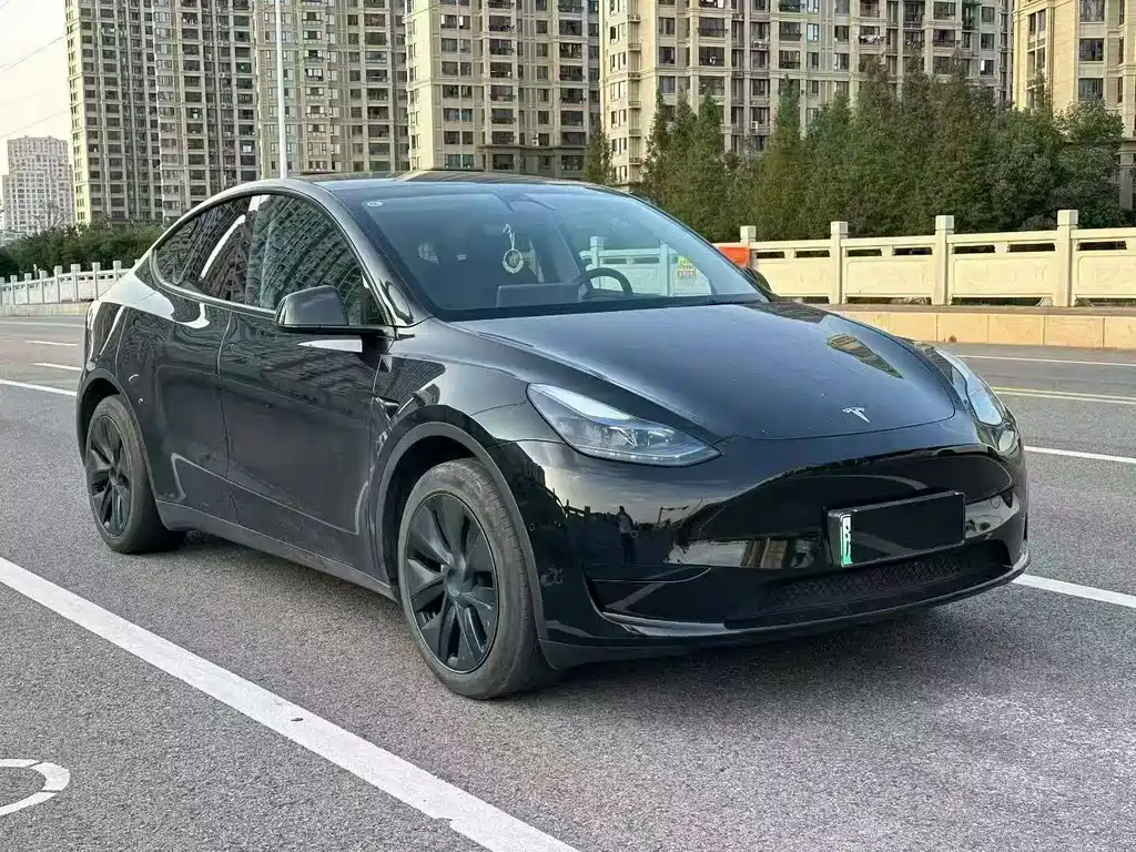 Tesla Model Y — фото 3