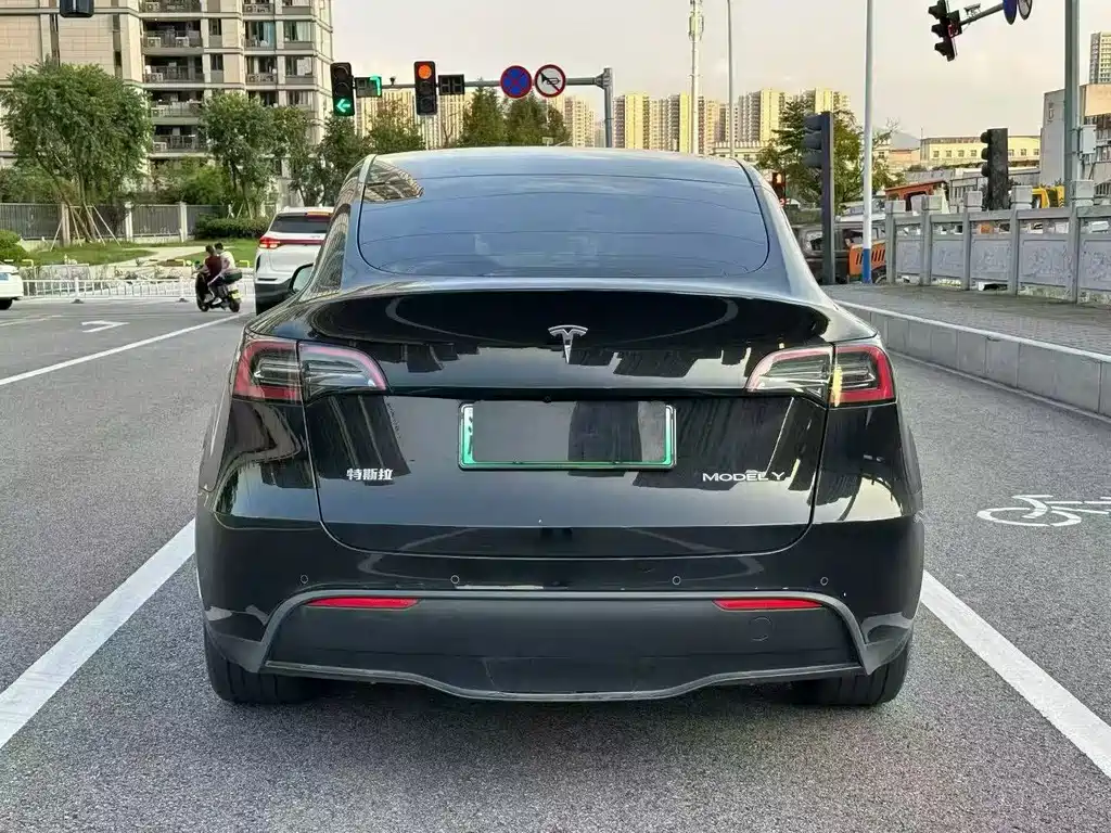Tesla Model Y — фото 8