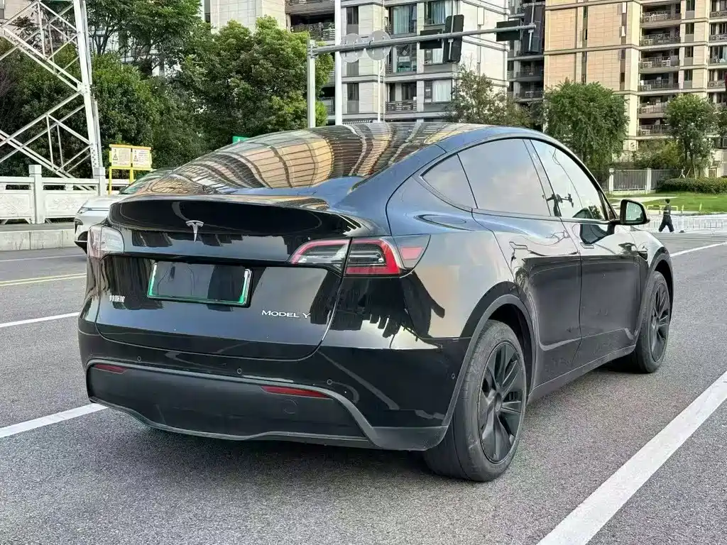 Tesla Model Y — фото 9