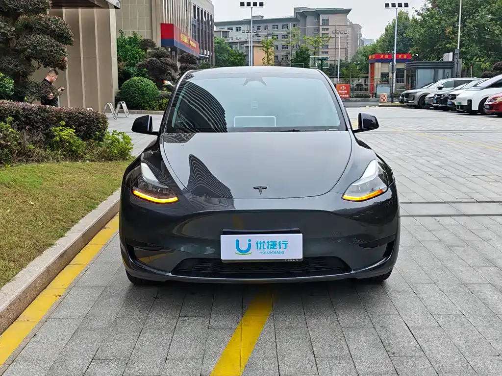 Tesla Model Y — фото 3