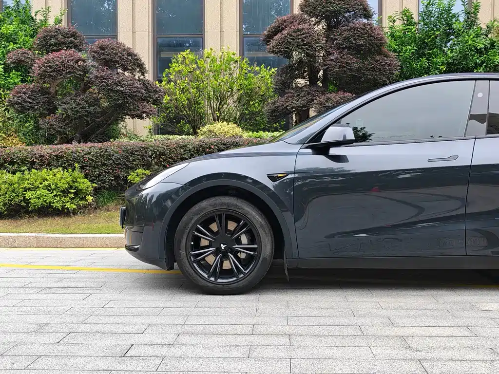 Tesla Model Y — фото 4