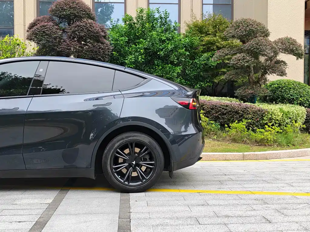 Tesla Model Y — фото 5