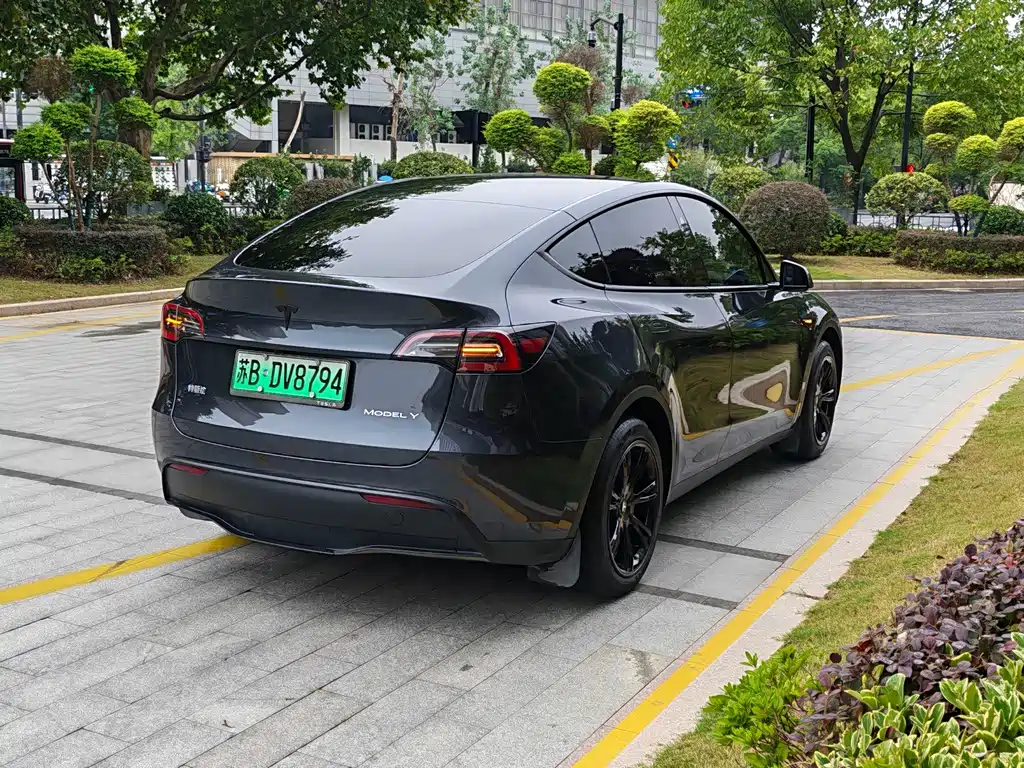 Tesla Model Y — фото 9