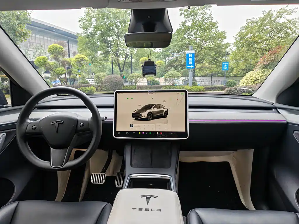 Tesla Model Y — фото 10