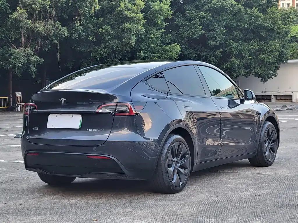 Tesla Model Y — фото 10