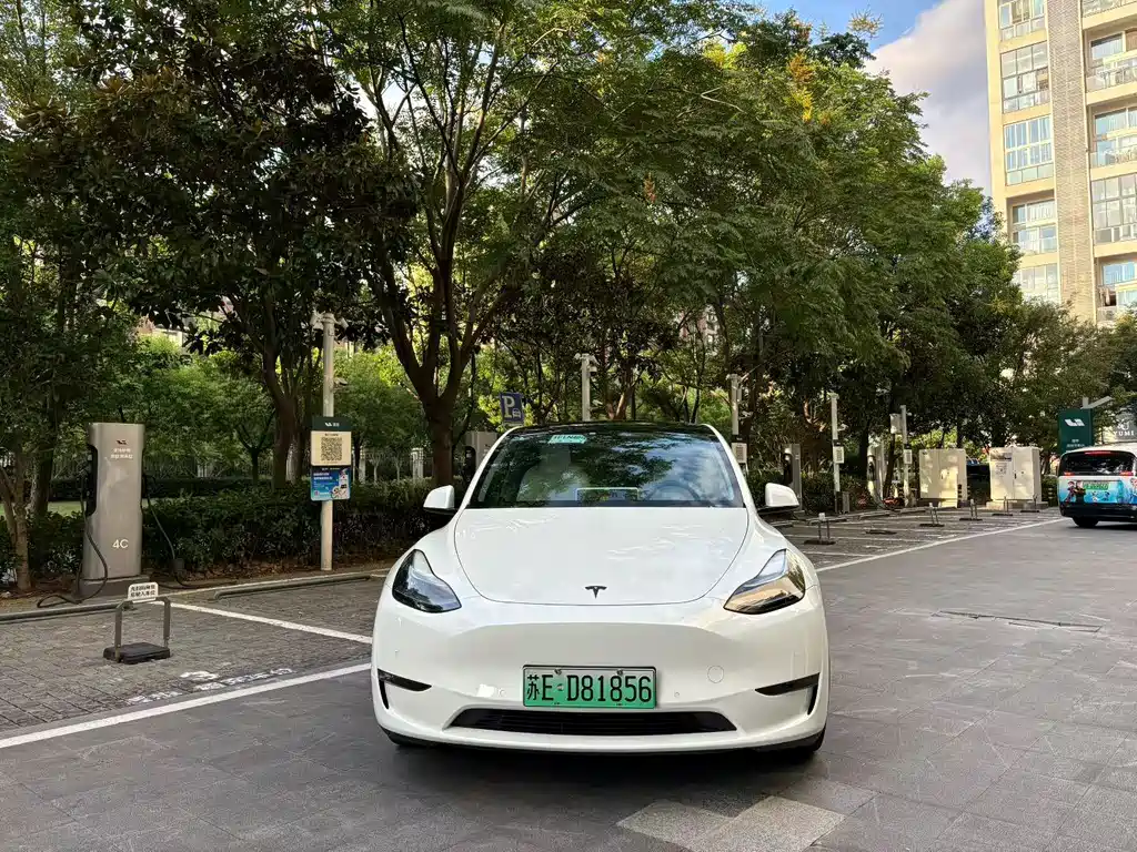 Tesla Model Y — фото 3