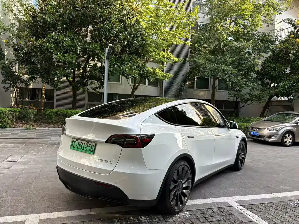 Tesla Model Y — фото 8