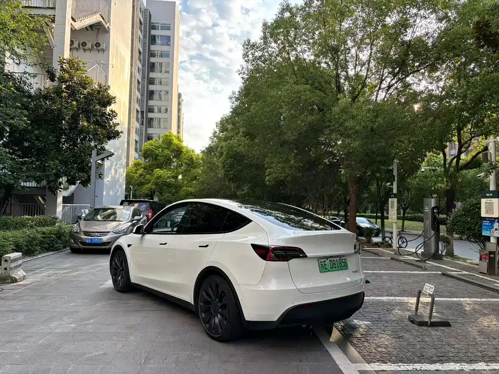 Tesla Model Y — фото 9