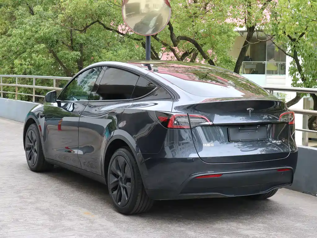Tesla Model Y — фото 3