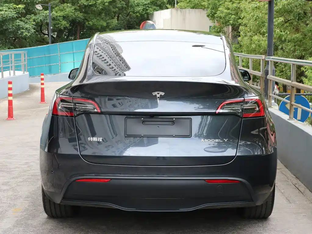 Tesla Model Y — фото 4