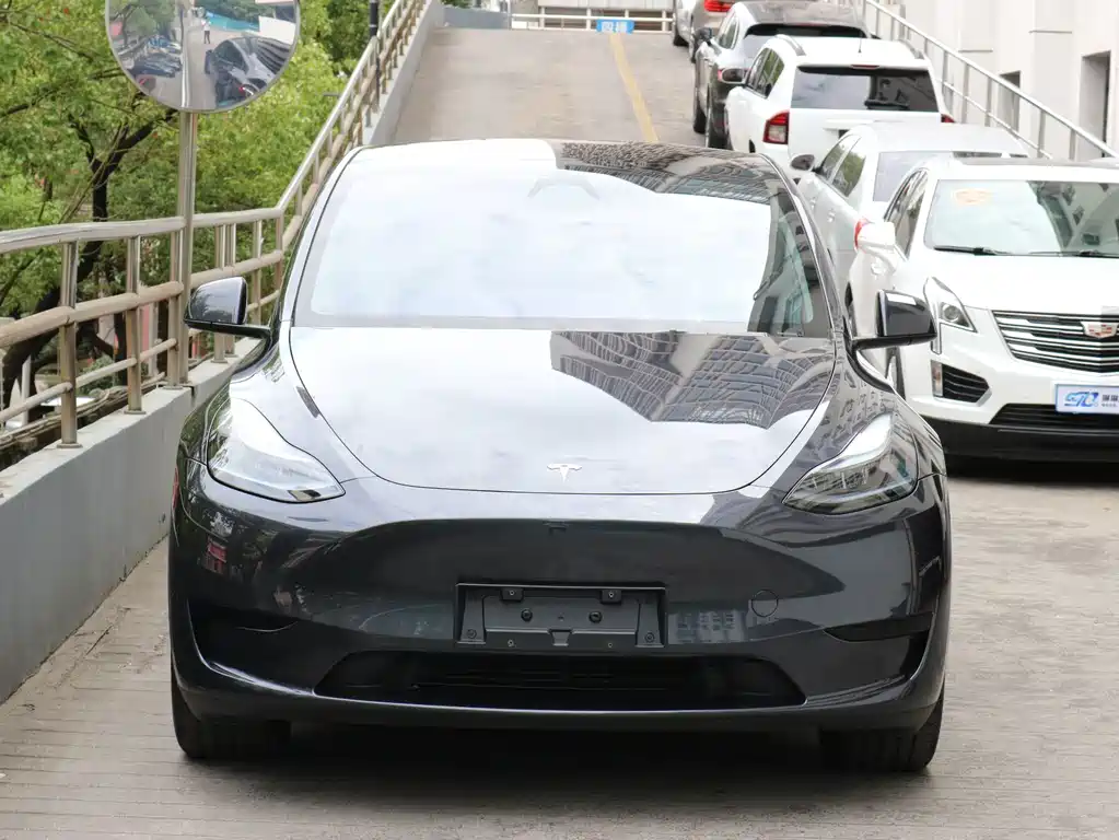 Tesla Model Y — фото 5