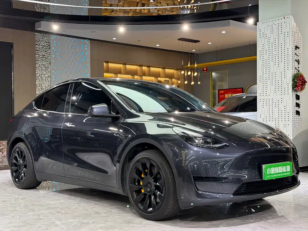 Tesla Model Y — фото 3