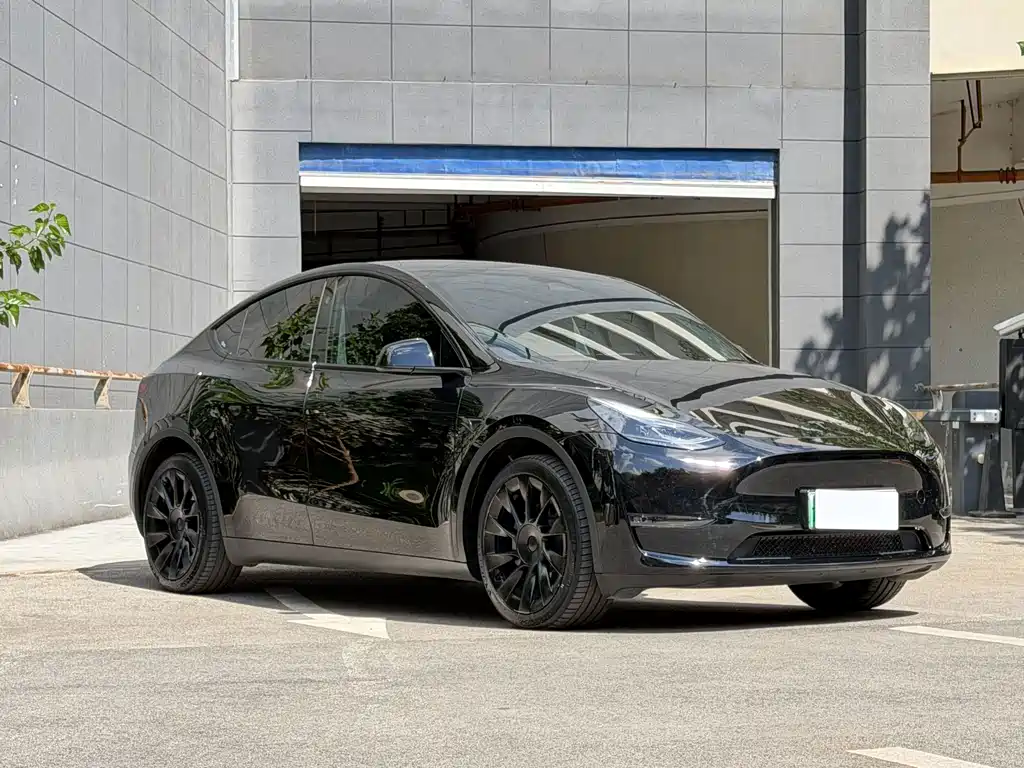 Tesla Model Y — фото 3