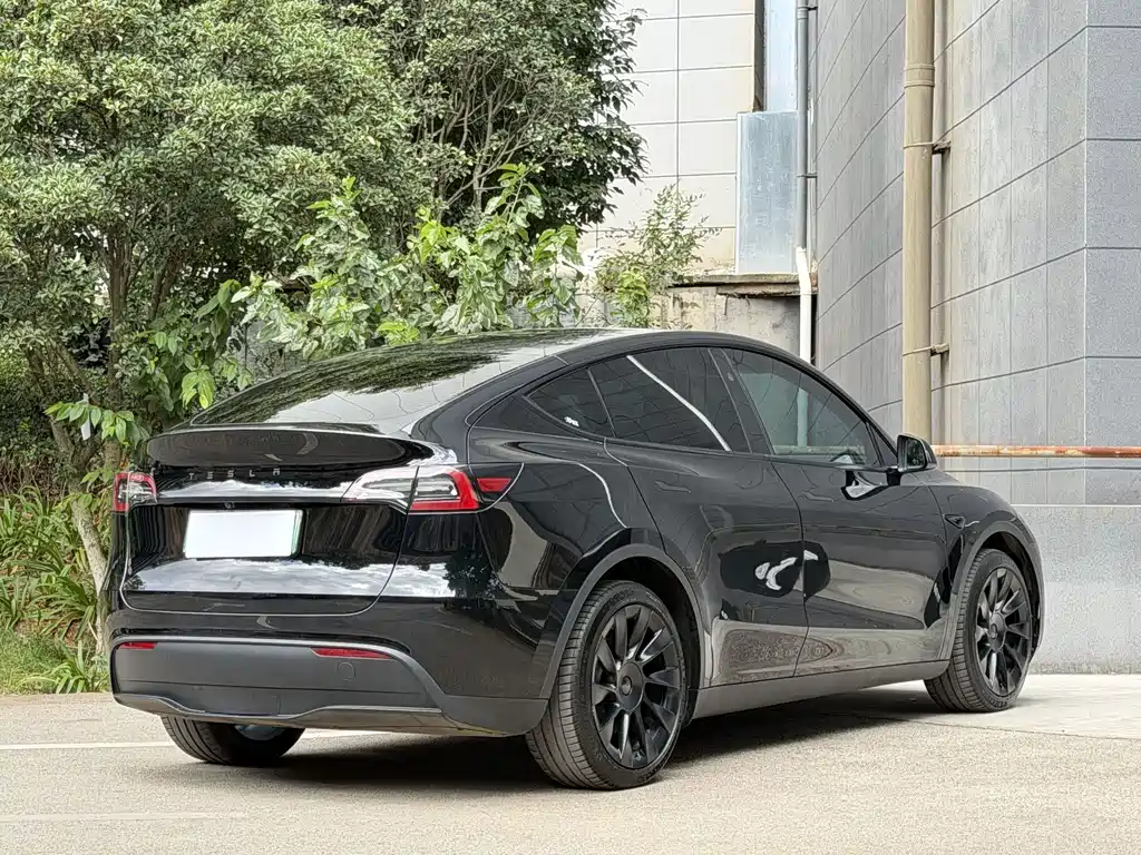 Tesla Model Y — фото 5