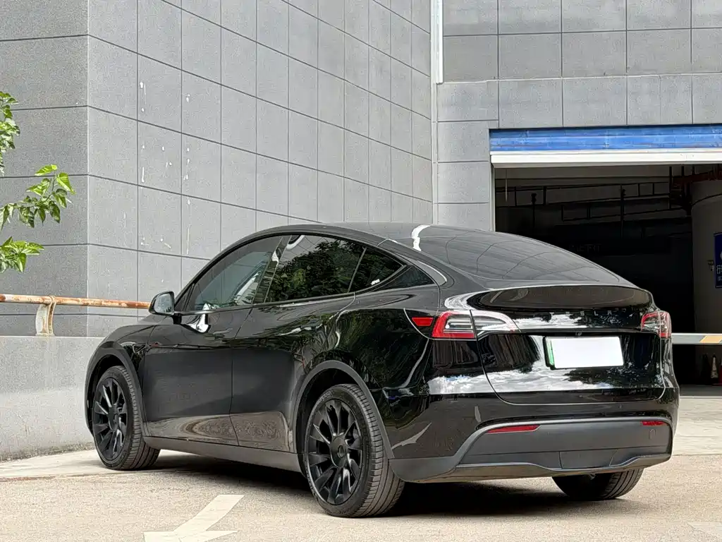 Tesla Model Y — фото 6
