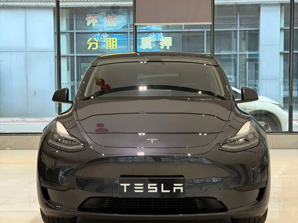 Tesla Model Y — фото 2