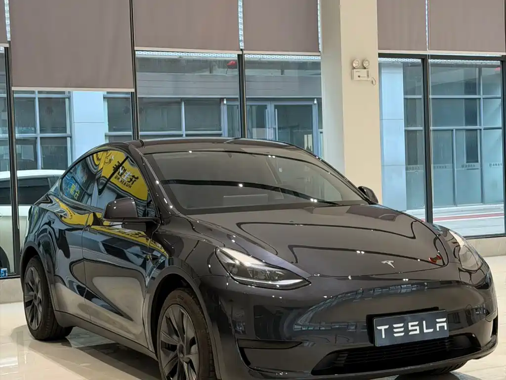 Tesla Model Y — фото 3
