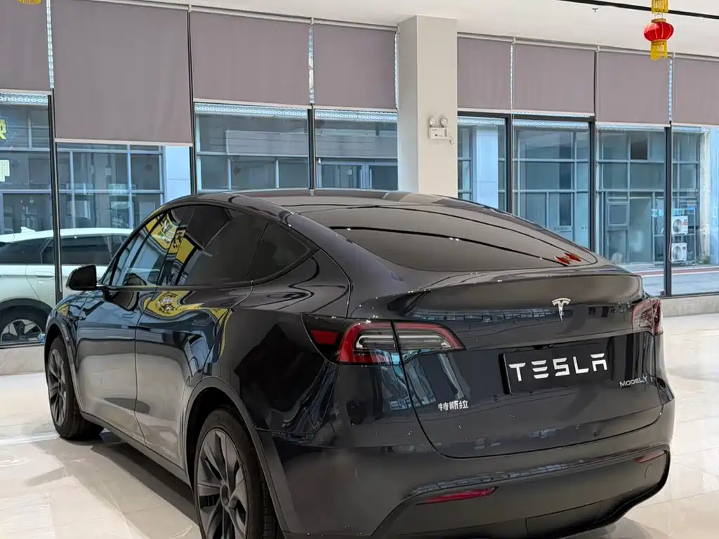 Tesla Model Y — фото 8