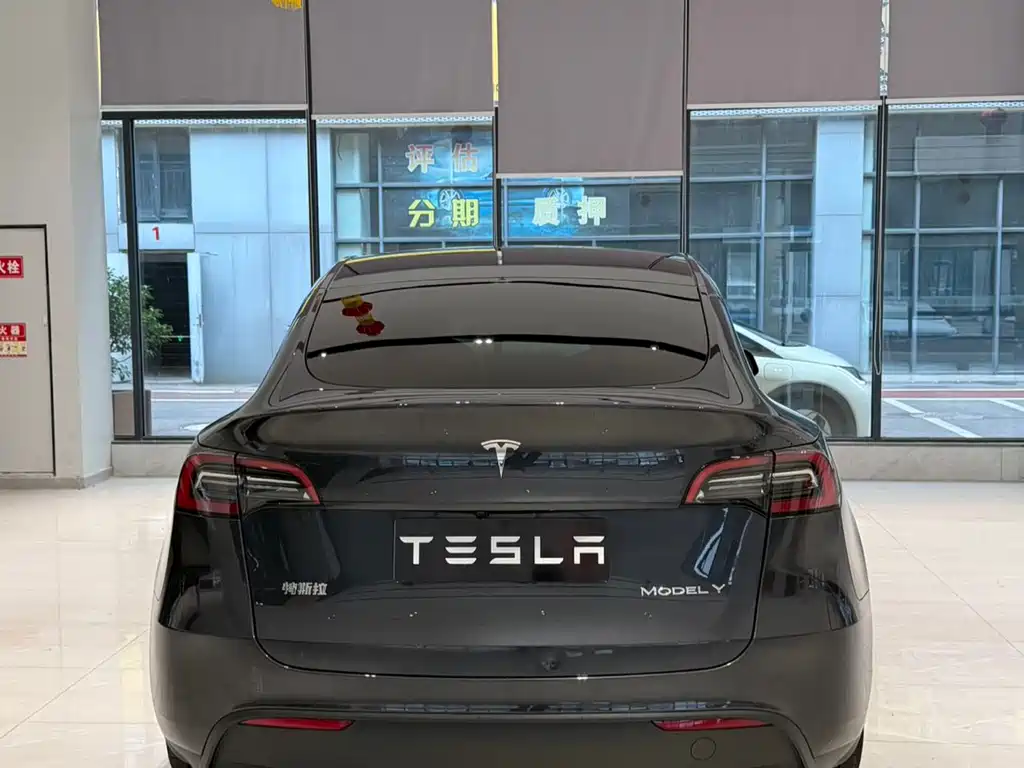 Tesla Model Y — фото 9