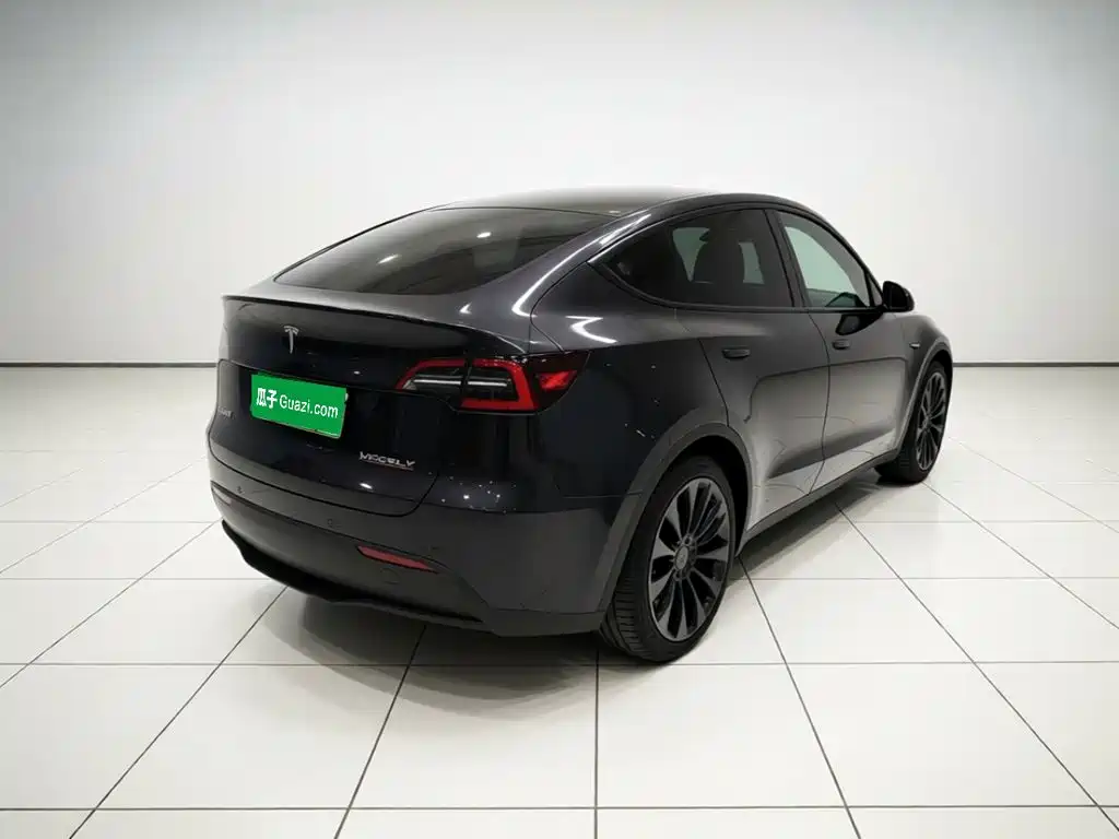 Tesla Model Y — фото 6