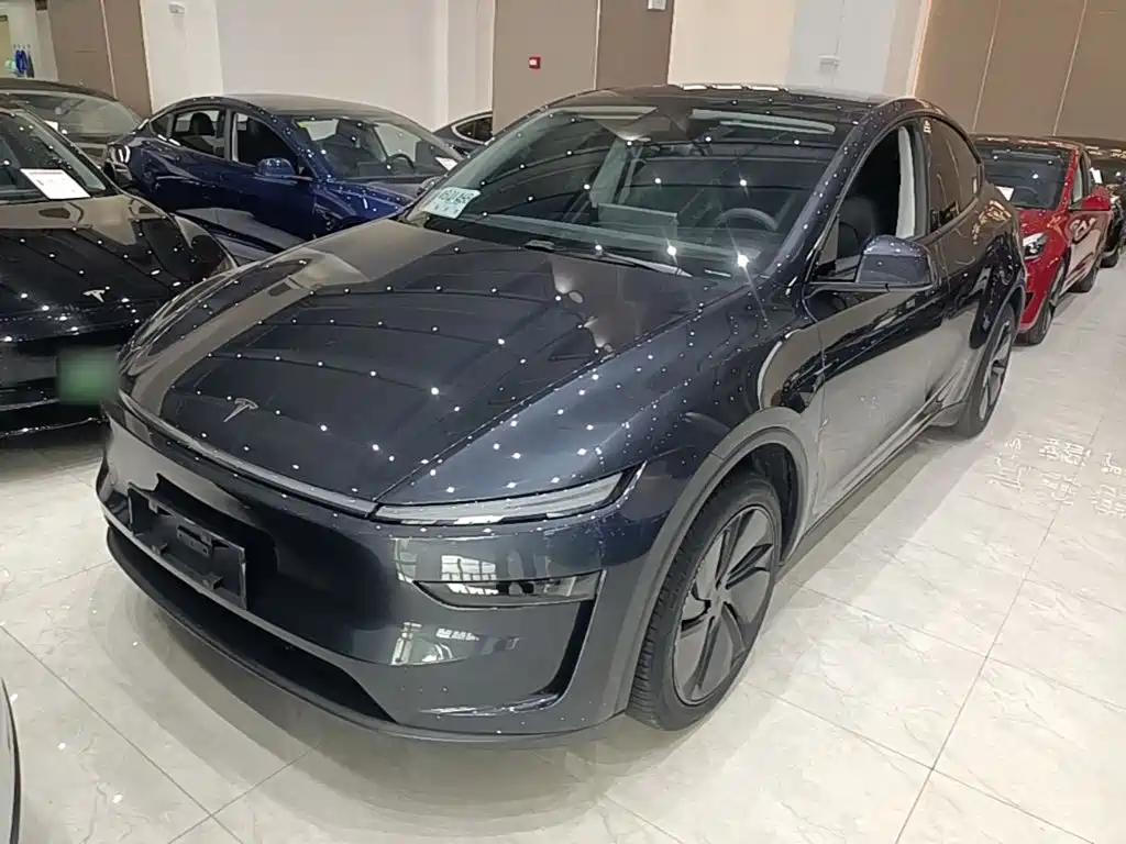 Tesla Model Y — фото 2