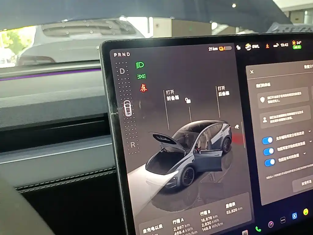 Tesla Model Y — фото 14