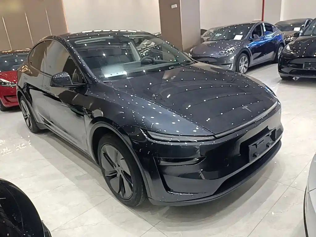 Tesla Model Y — фото 4