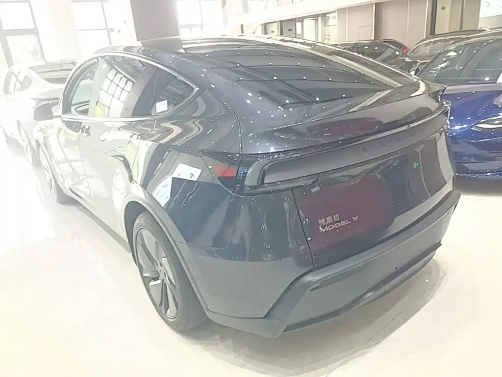 Tesla Model Y — фото 5