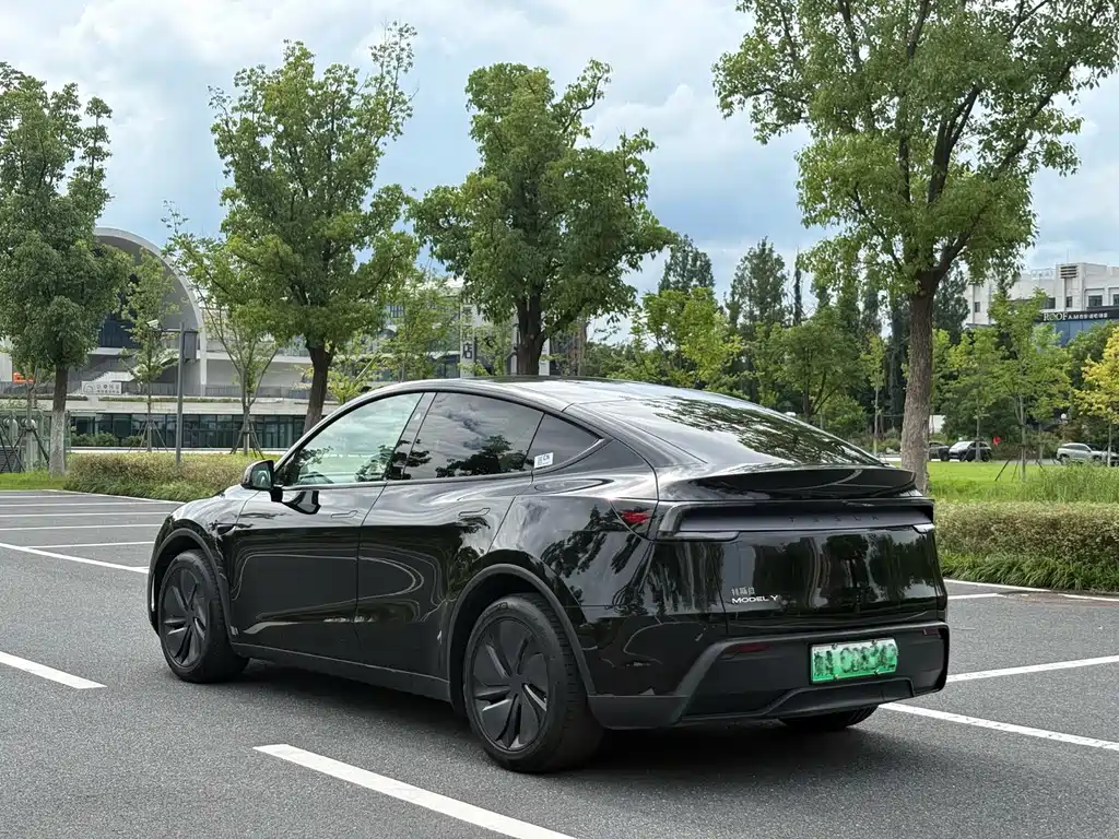 Tesla Model Y — фото 6