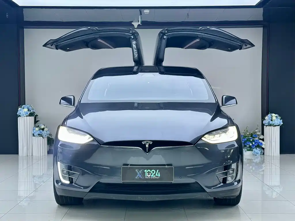 Tesla Model X — фото 2