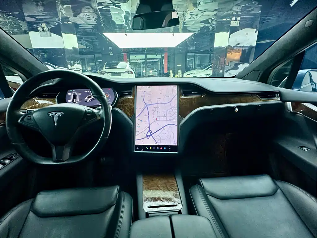 Tesla Model X — фото 10