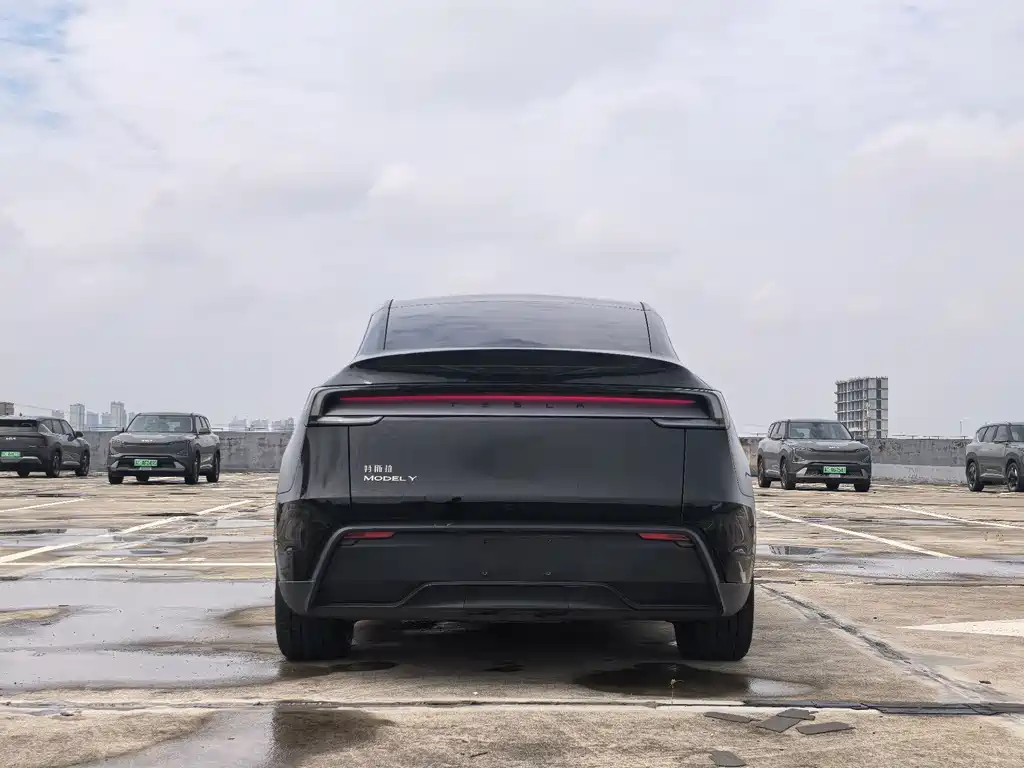 Tesla Model Y — фото 6