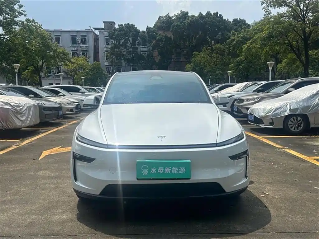 Tesla Model Y — фото 2
