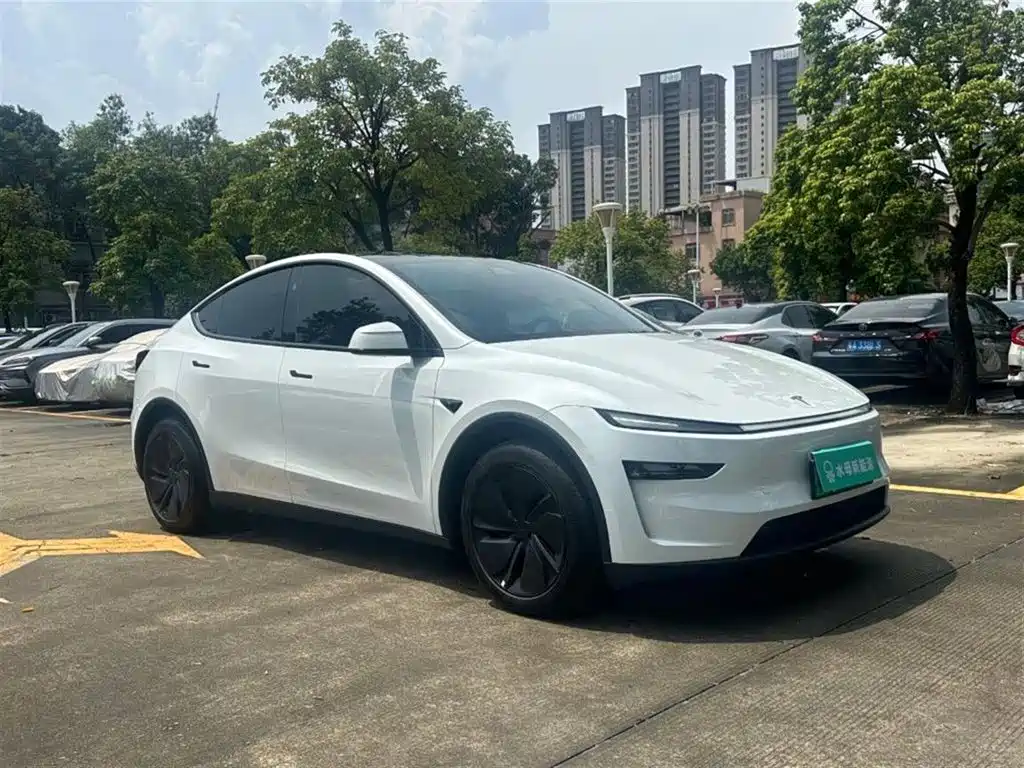 Tesla Model Y — фото 10