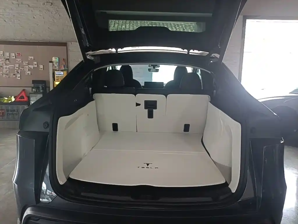 Tesla Model Y — фото 19