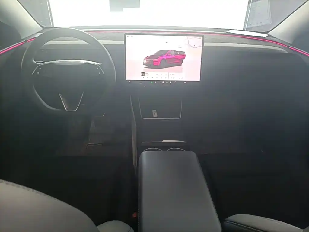 Tesla Model Y — фото 10