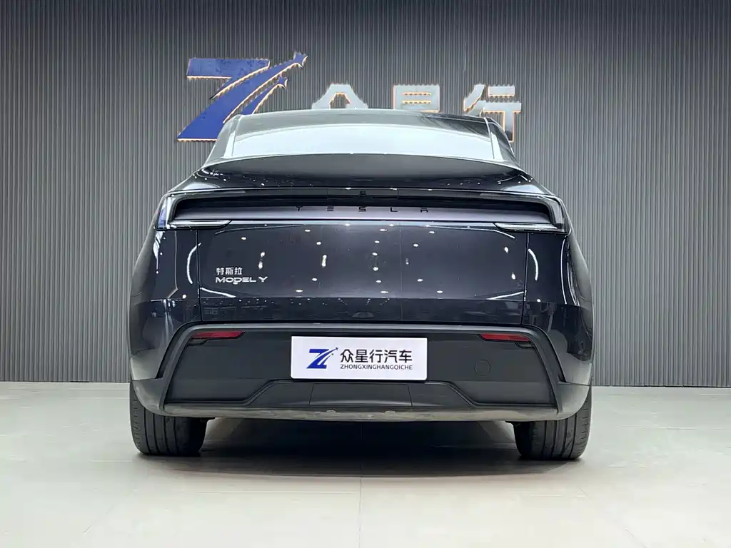 Tesla Model Y — фото 6
