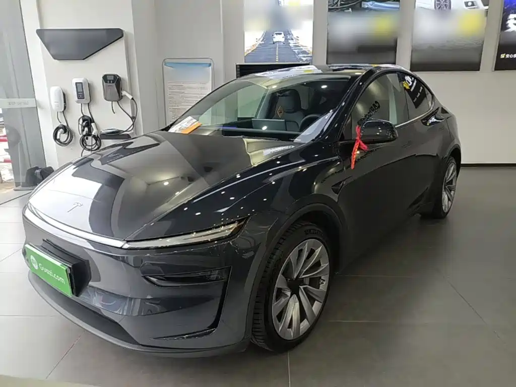 Tesla Model Y — фото 2