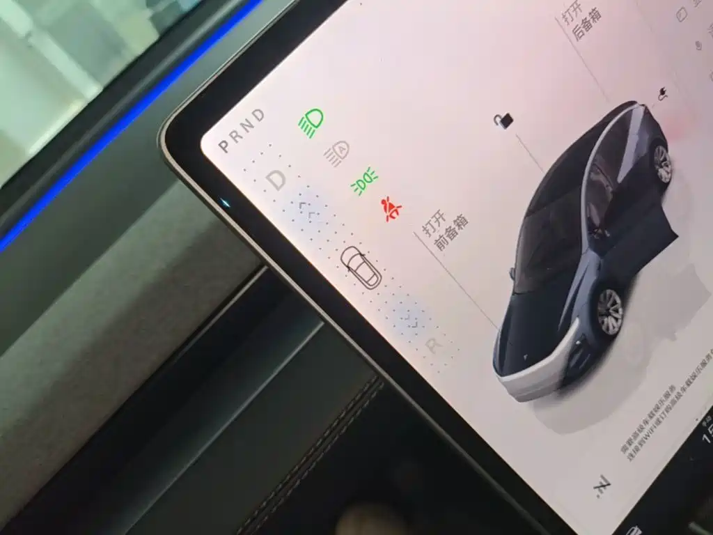 Tesla Model Y — фото 14