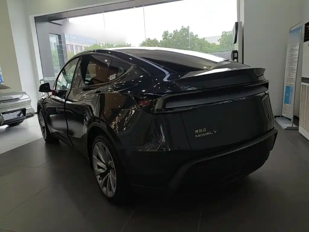 Tesla Model Y — фото 5