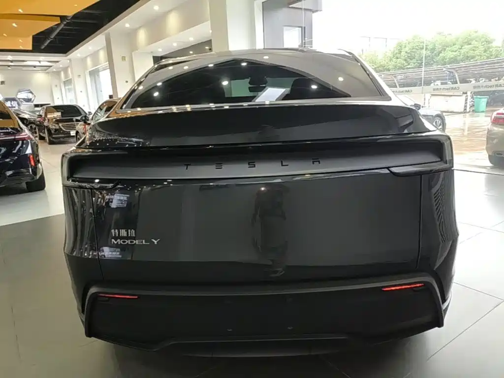 Tesla Model Y — фото 6