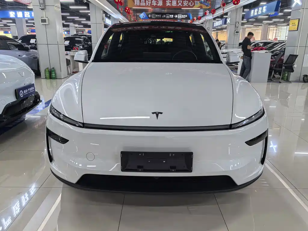Tesla Model Y — фото 2