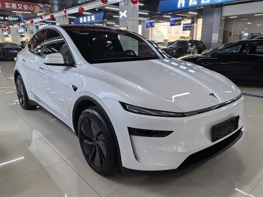 Tesla Model Y — фото 3