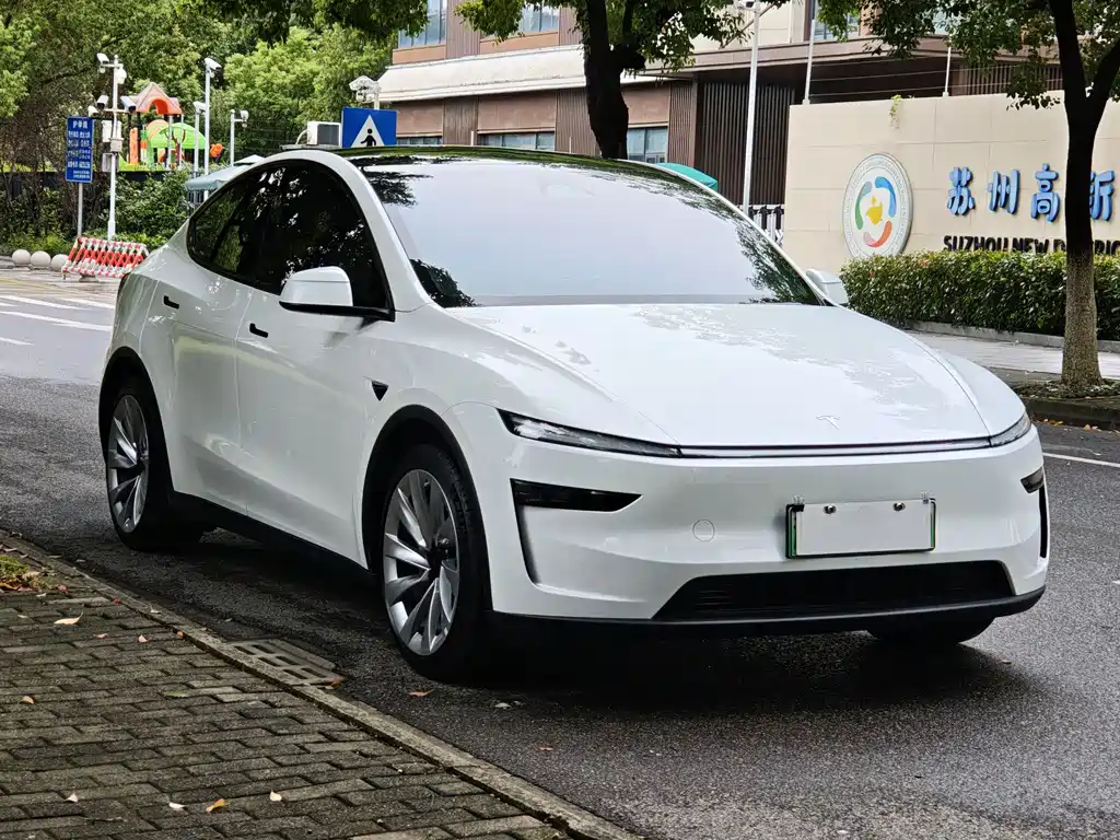 Tesla Model Y — фото 3