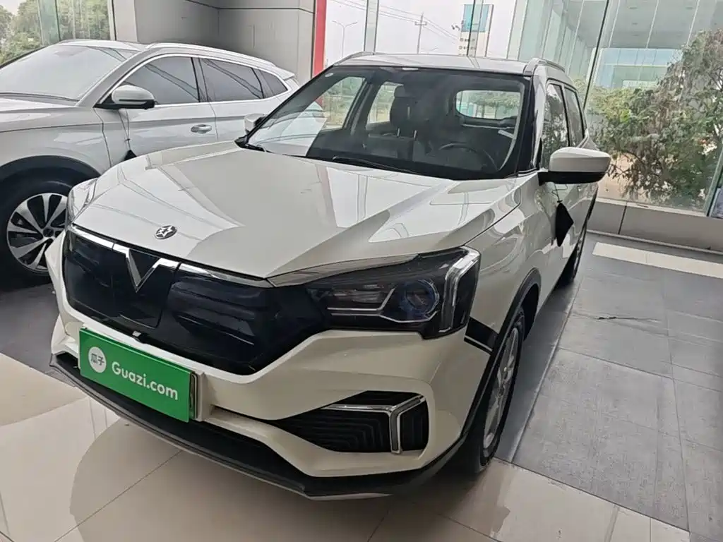 Venucia T60 EV
