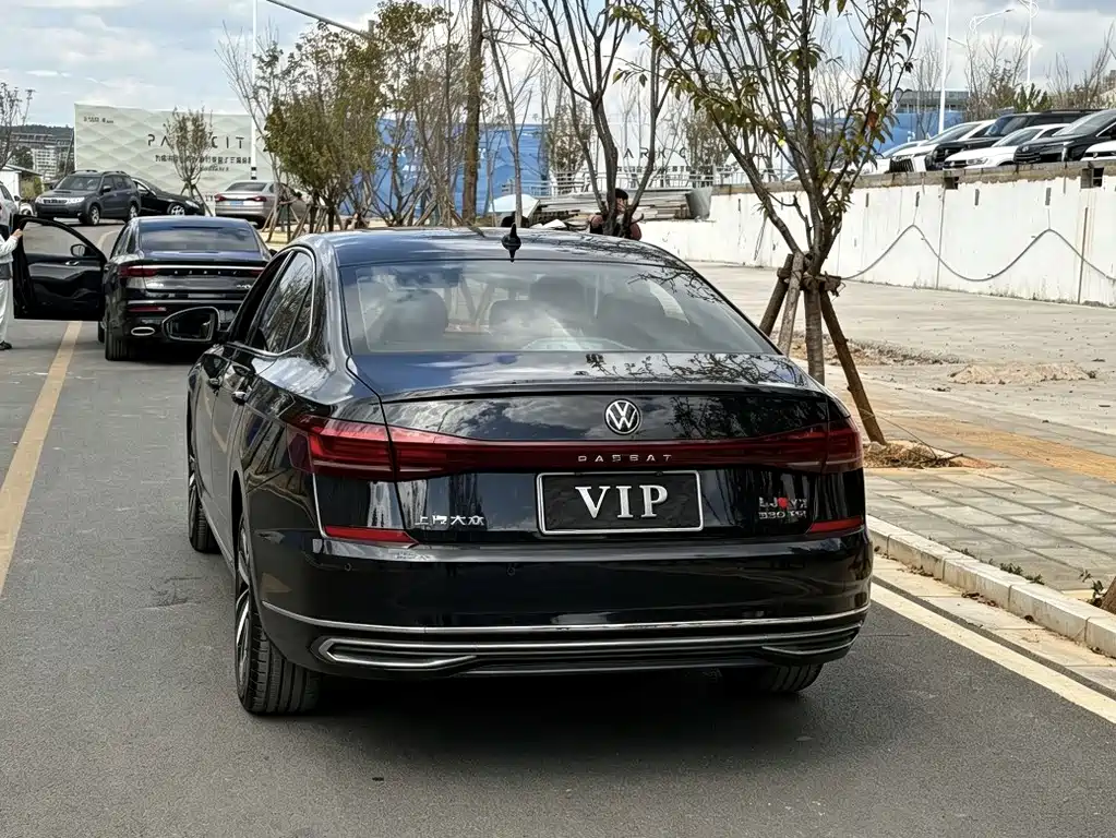Volkswagen Passat — фото 13
