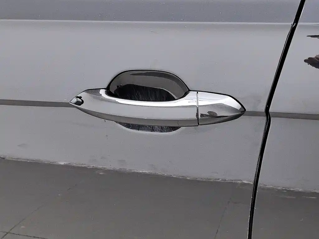 Volkswagen Passat — фото 18