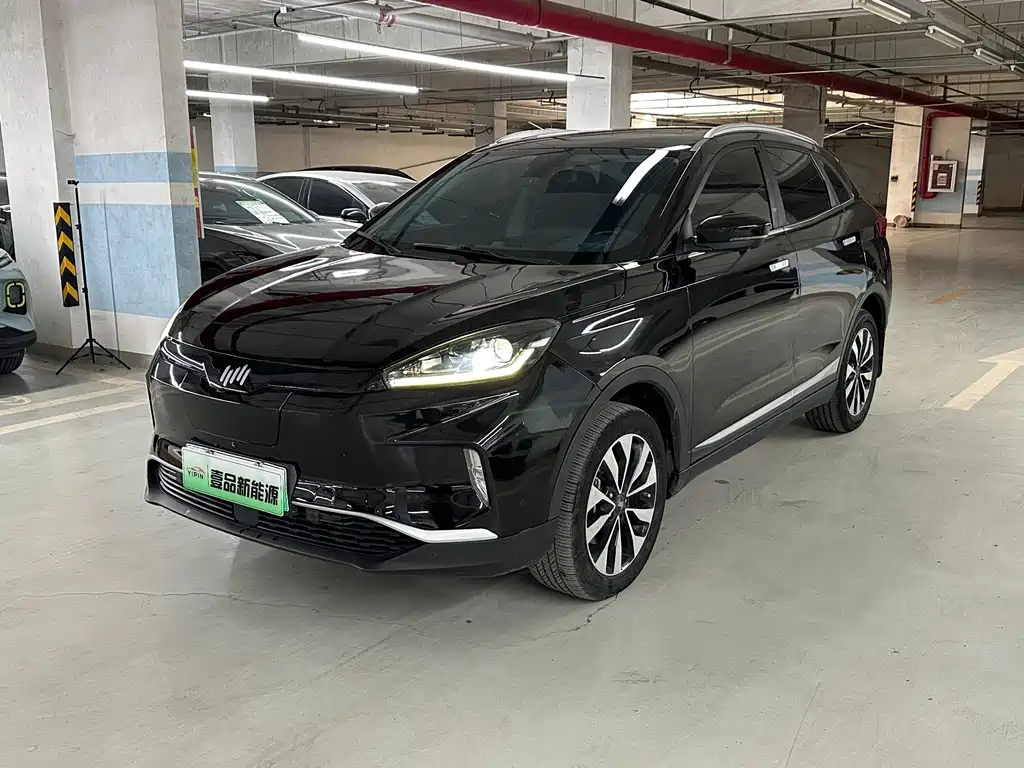 WM Motor EX5