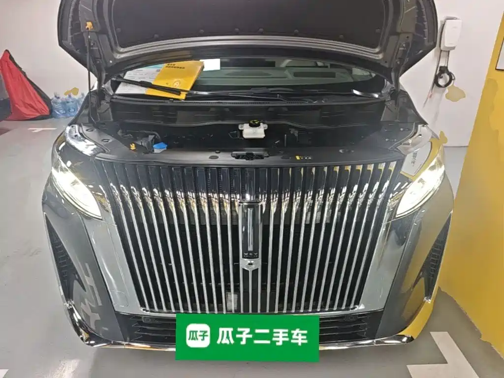 Wey Wey Gaoshan New Energy — фото 20